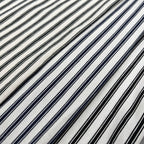 Invoux Sorrento Striped Long Sleeve Shirt